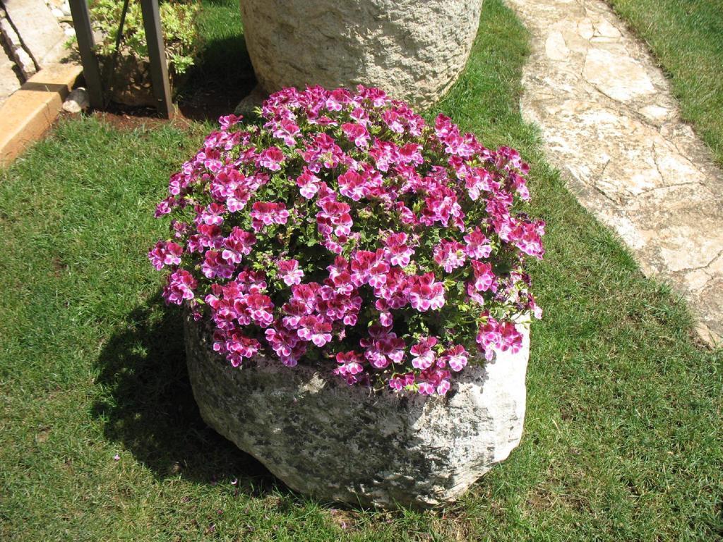 Apartmani Villa Otilija Porec Exterior photo